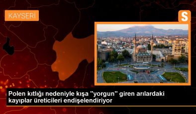 Polen Kıtlığı ve Hastalıklar Nedeniyle Arı Kovanlarında Kayıplar Yaşanıyor