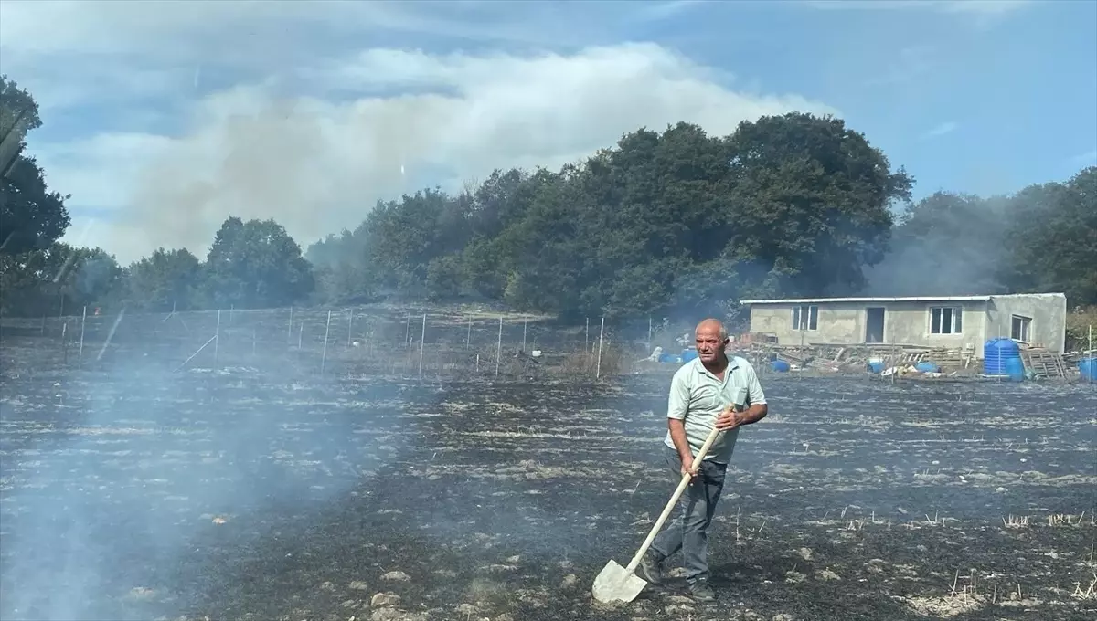 Mudanya’da Tarım Arazisinde Yangın